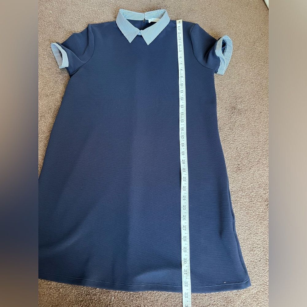 Zara Collar Navy Ribbed A Line Dress - Picture 8 of 9